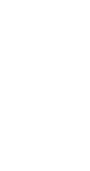 Newcastle Grammar School reverse logo
